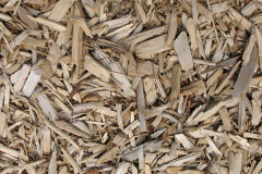 biomass boilers Deansgreen